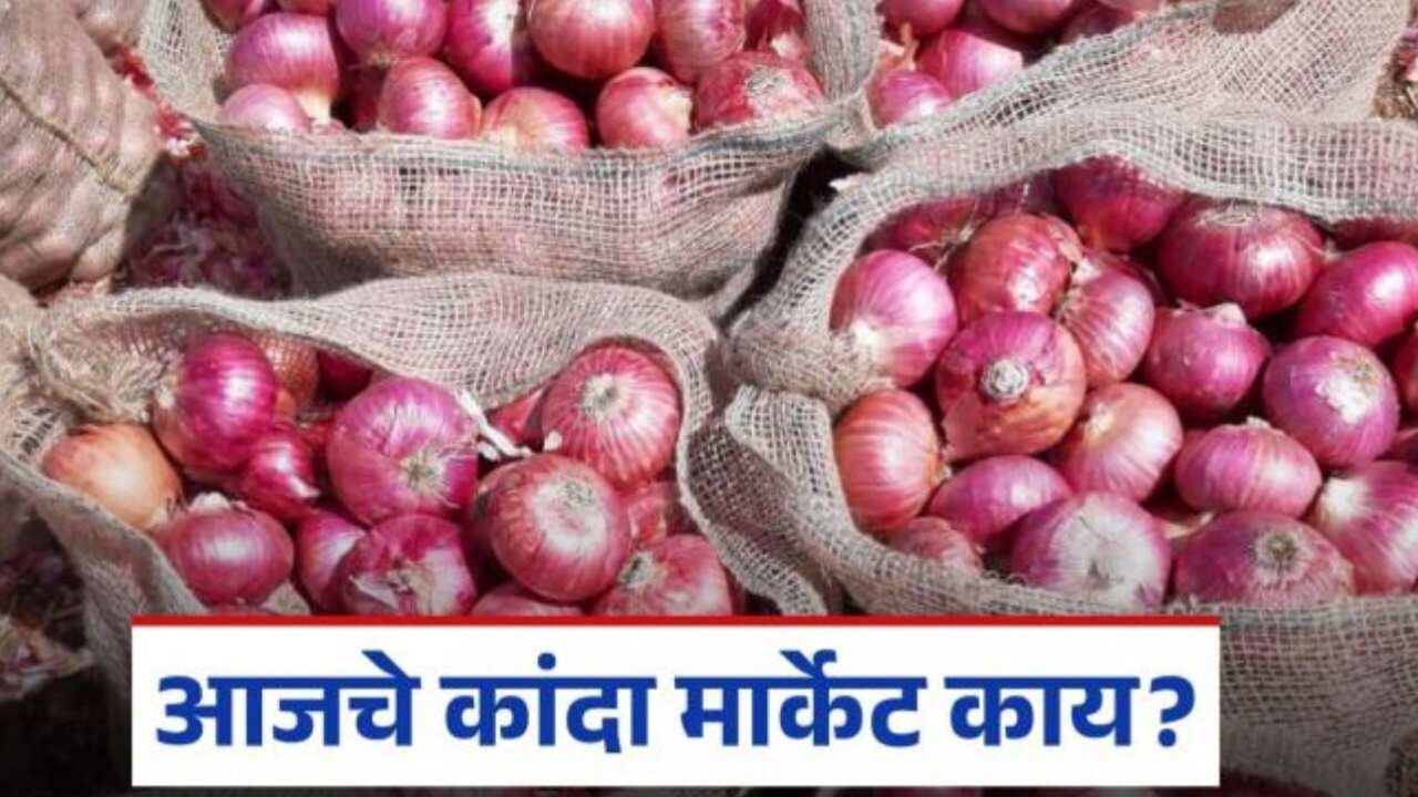 Kanda Bajarbhav: आज कांद्याला या बाजारपेठ सर्वाधिक दर मिळाला; निर्यात वाढली; दरातही बढत बघायला मिळणार